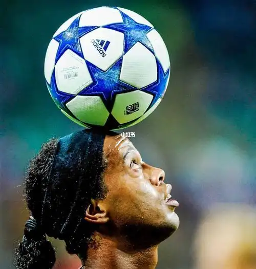 自身的实力 自身的实力