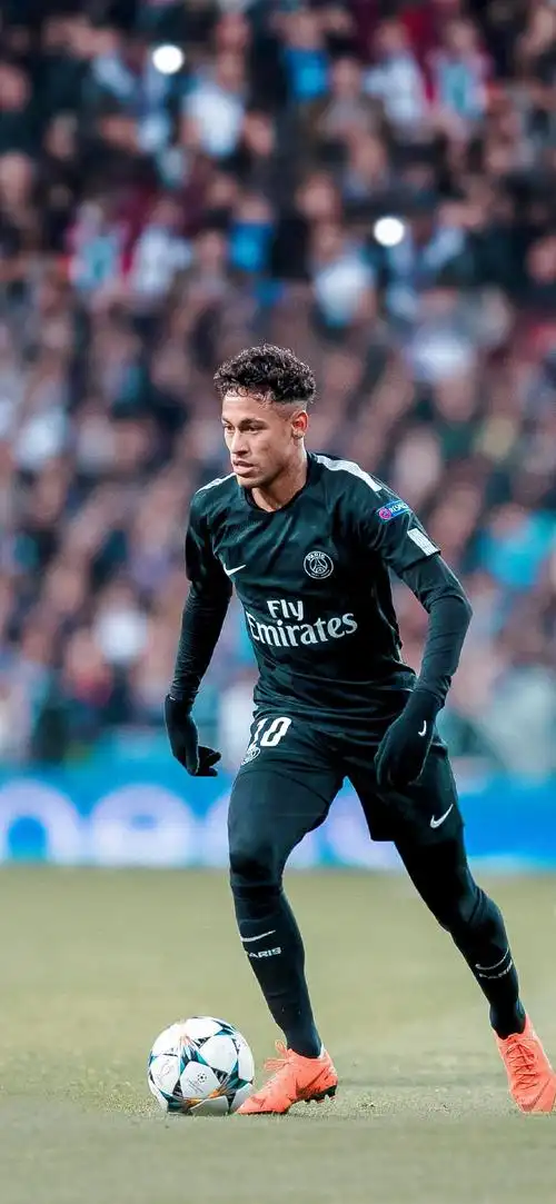 了暂时的影 了暂时的影