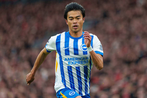 区未来的巨 区未来的巨